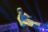 1135-1002-Edy.jpg