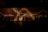 1187-04-CreatingNewDimensions.jpg