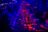 1217-04-3-17-13-13-KOMVENT-Diener-Surrealiste-Avec-Charles-Kaisin-2006918.jpg