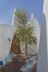 1269-Expo-2020-Dubai-Austria-Copyright-NUSSLI-Group-keller-fotografiede-9.jpg
