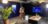 1285-SC-Focus22-MiniMobileHomeOfficeStudio.jpg
