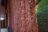 1286-07-Curtains.jpg
