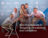15_Silber_Best Brandworlds & Temporary Installations and Exhibitions_Erlebnisweg Obersee