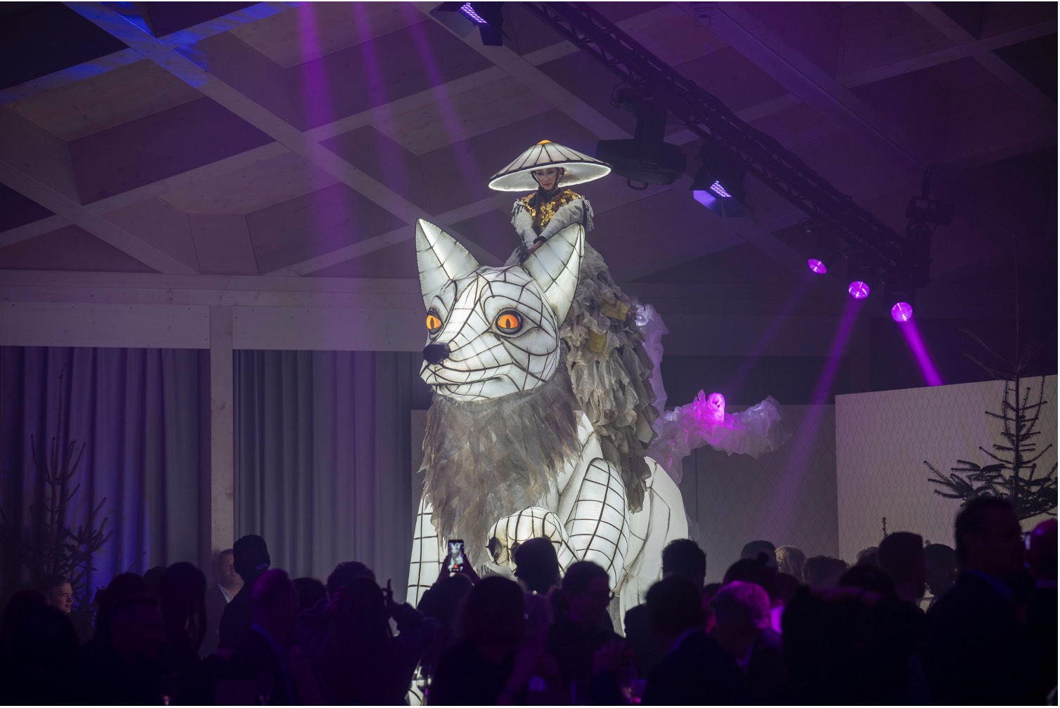 BSR_Event Domes Show_Fox 1