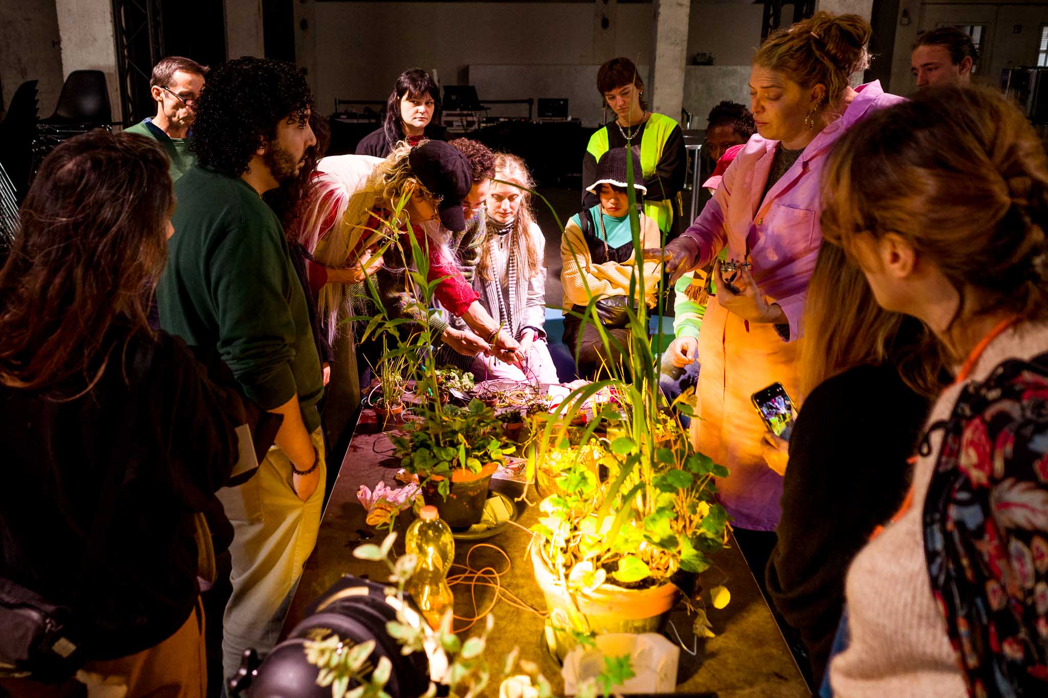 Mesh-Festival_2024_EnergyWetlands_Photo-NicolasGysin_25